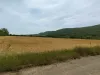 Torpaq Satılır - 9000 Поморие BG Thumbnail 2