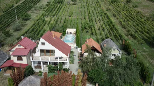 Ev Satılır 99128 Vinica SK