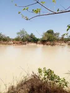 Tikinti üçün torpaq Satılır 0000 Brikama Gambia  DE