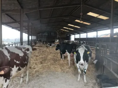 Təsərrüfat Satılır 54000 GRAFIGNY FR